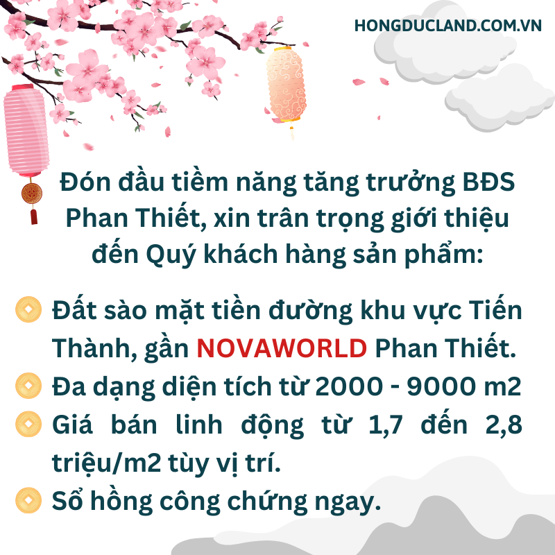 BÁN ĐẤT SÀO MẶT TIỀN ĐƯỜNG NHỰA GẦN NOVAWORLD PHAN THIẾT